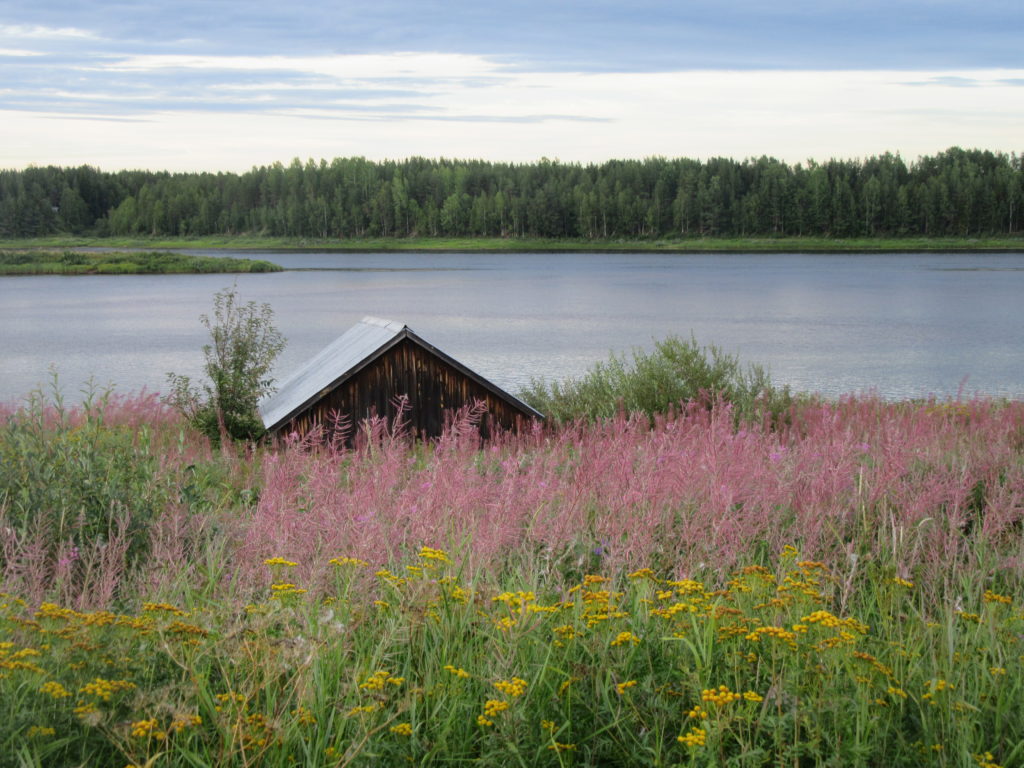 Grandes étendues Suède Laponie