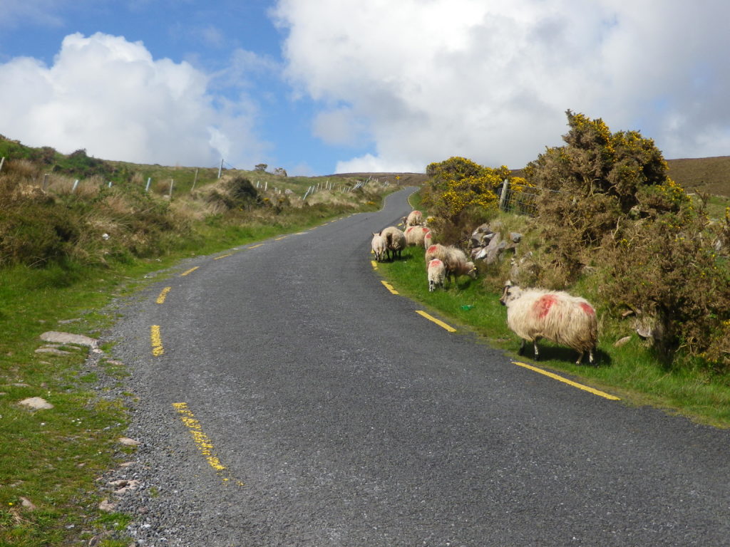 Kerry voyage a vélo Irlande