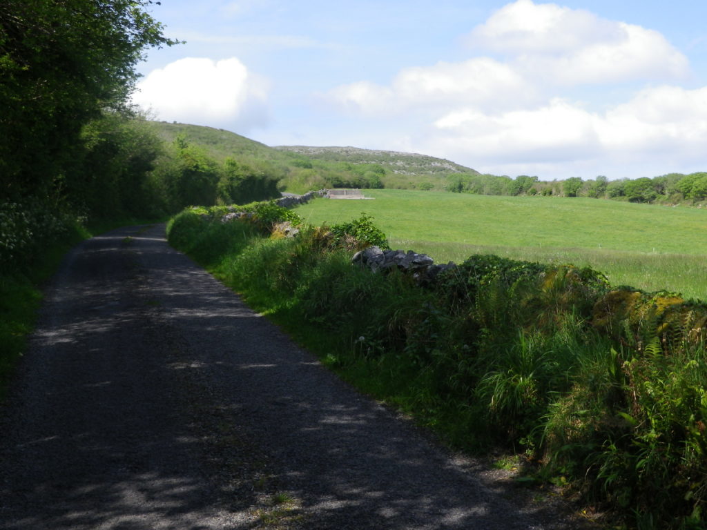 Petite route de campagne escarpée en plein coeur du Burren