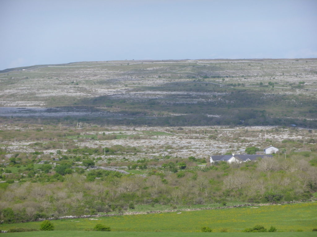L'élevage reste malgré tout assez présent dans les décors très arides et rocailleux du Burren
