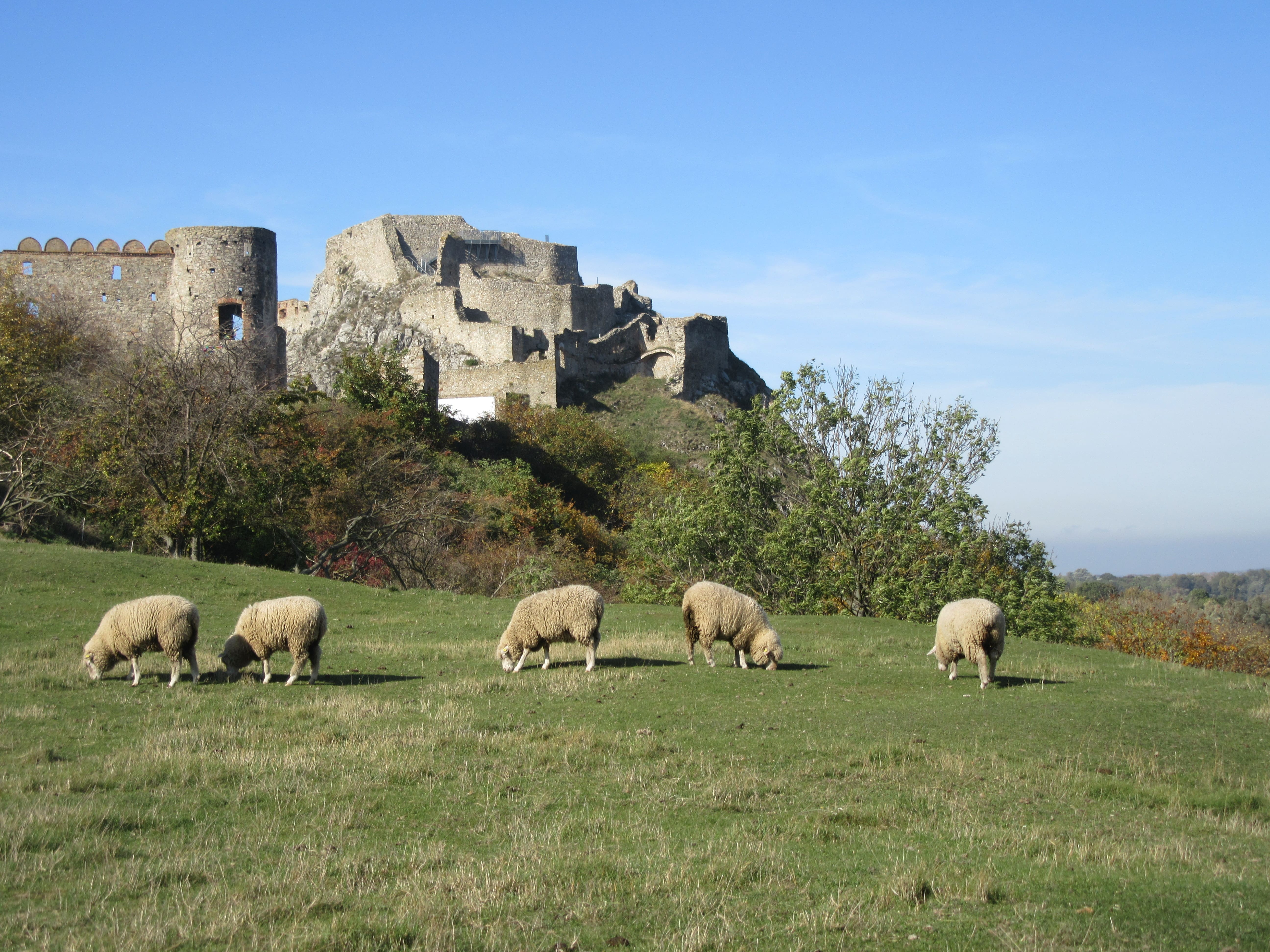 Château de Devin en Slovaquie