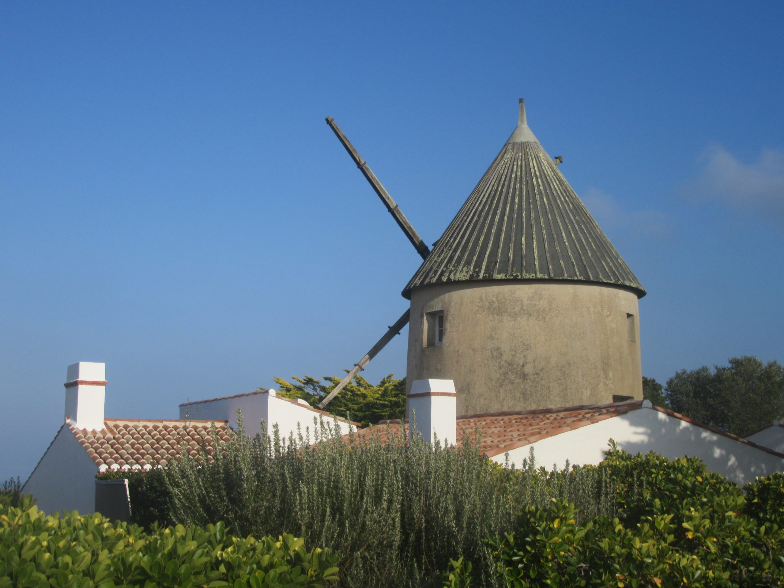 moulin sur l'ile de Noirmoutier 