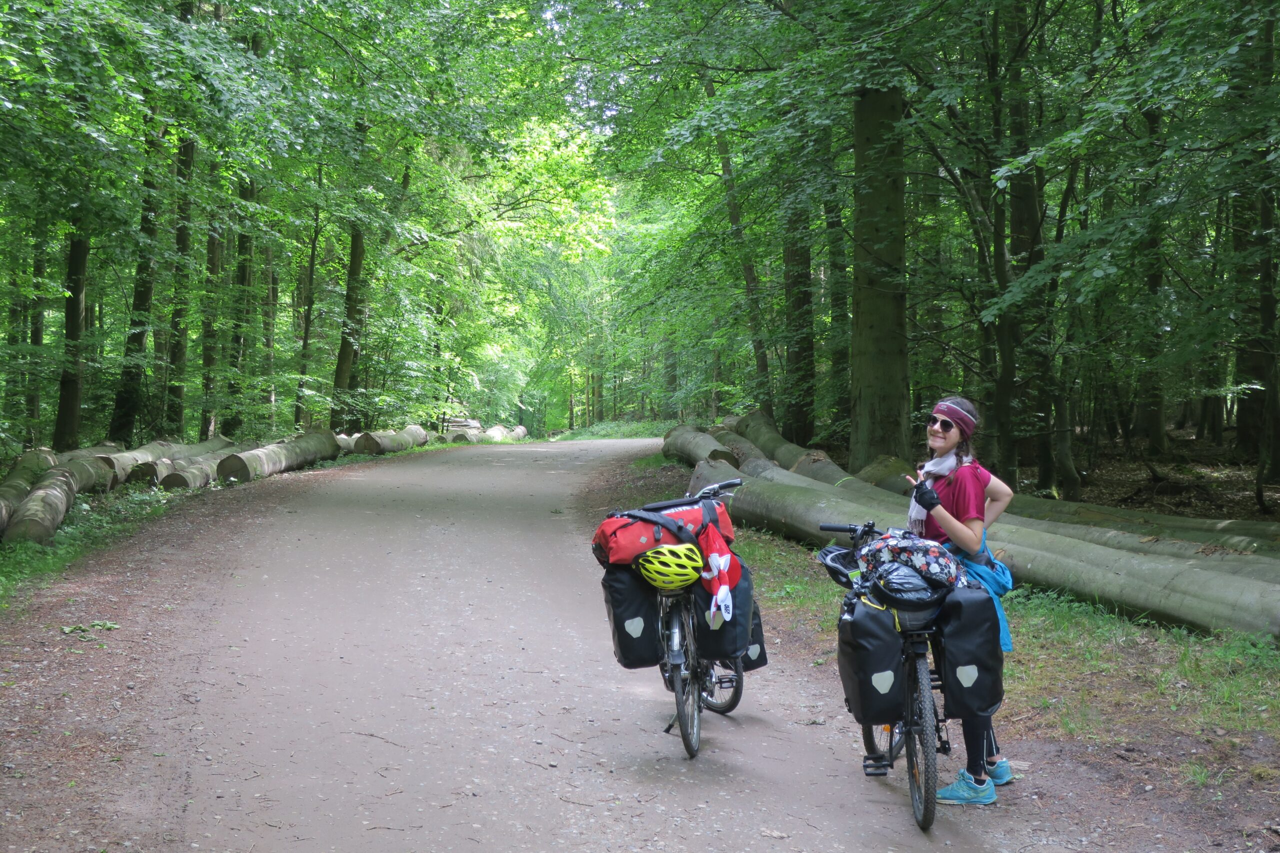 Voyageurs à vélo en forêt 