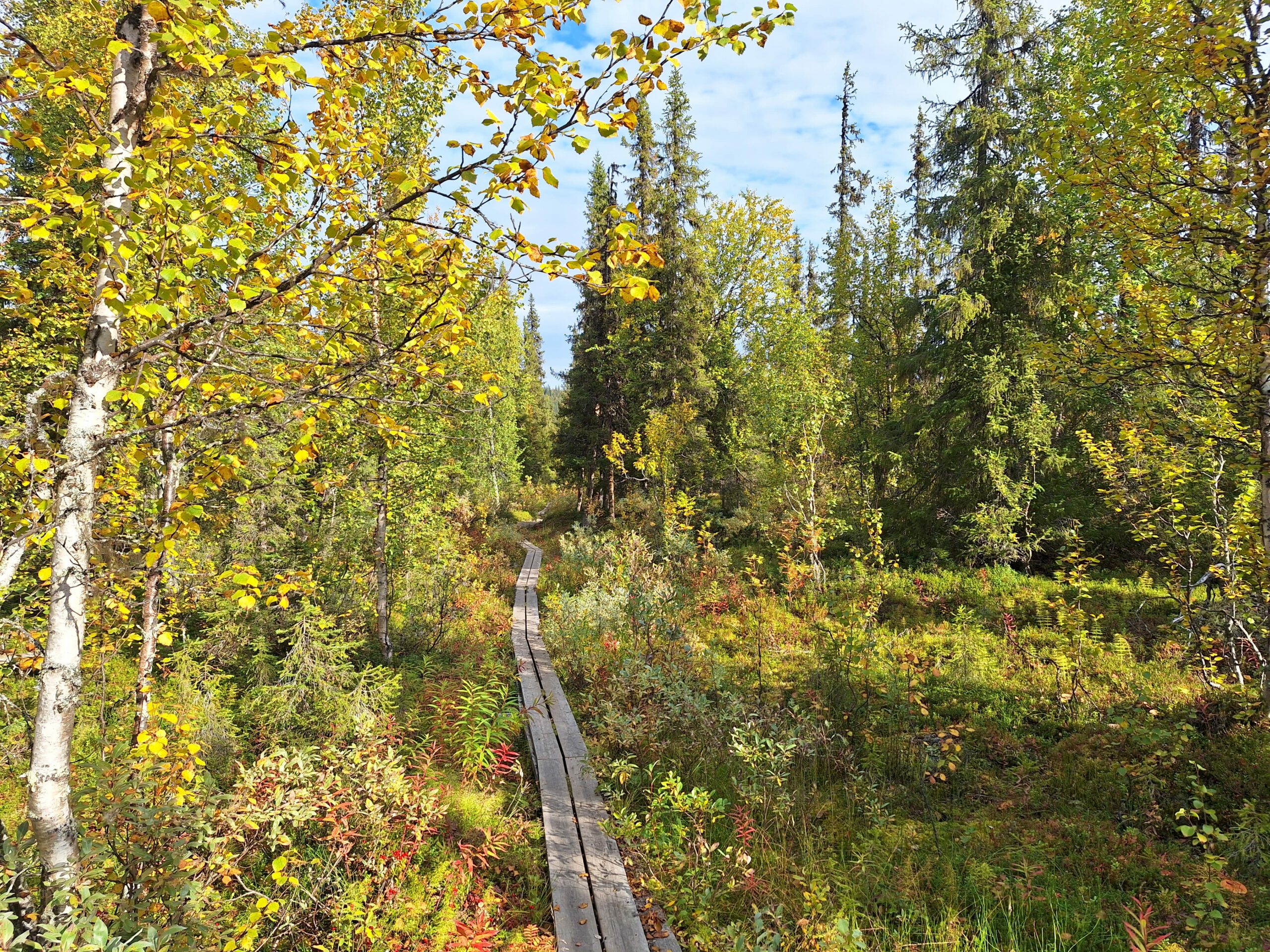 Itinéraire balisé de la Kungsleden en Laponie suédoise