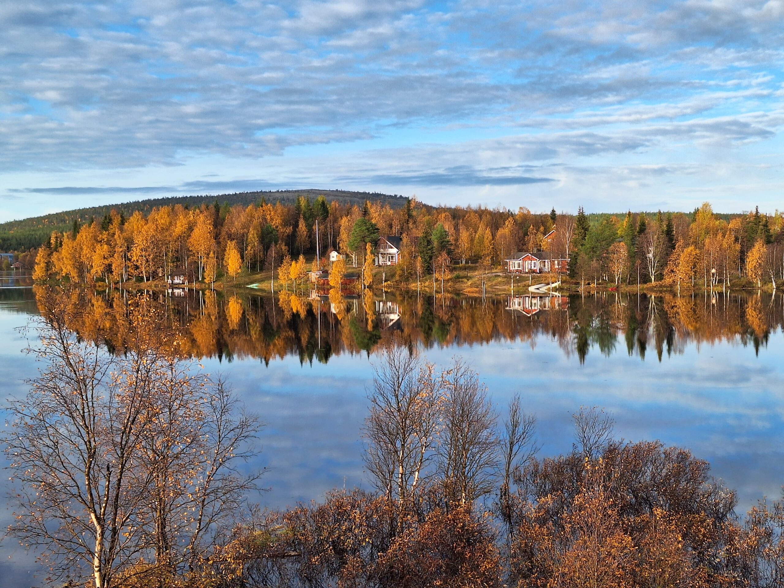 Couleurs de la ruska en Laponie finlandaise durant l'automne